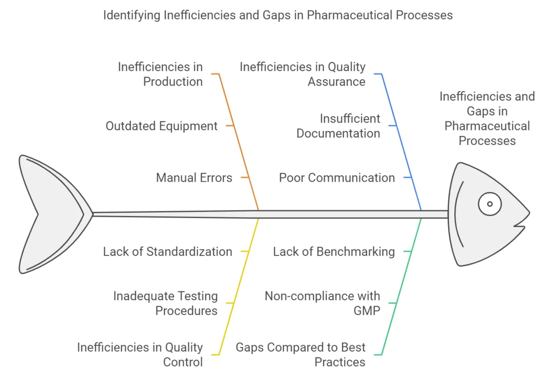 Process Mapping & Gap Analysis
